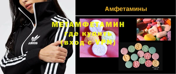 шишки Переславль-Залесский