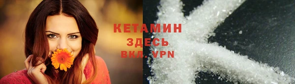 гидра Пересвет