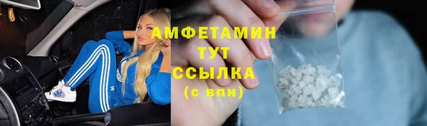 прущие грибы Армянск