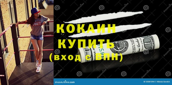 прущие грибы Армянск