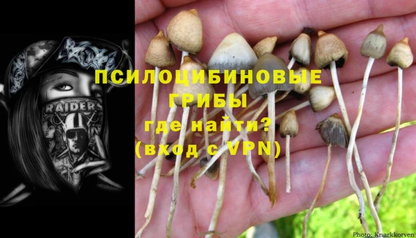 каннабис Аркадак