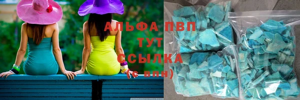 прущие грибы Армянск